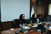 برگزاری جلسه جوانی جمعیت در شبکه بهداشت و درمان اسلامشهر